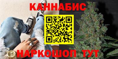 прущие крисы Будённовск