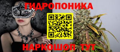прущие крисы Будённовск