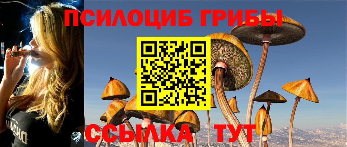 Галлюциногенные грибы GOLDEN TEACHER Ленинск-Кузнецкий