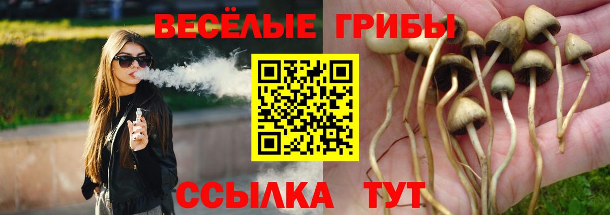 Псилоцибиновые грибы Psilocybe  Вход с VPN  Псилоцибиновые грибы Psilocybine cubensis  Ленинск-Кузнецкий 